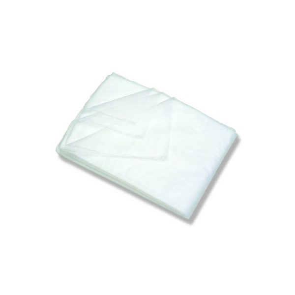 PANNO IMPREGNATO ECO cm.30X60 pz.50
